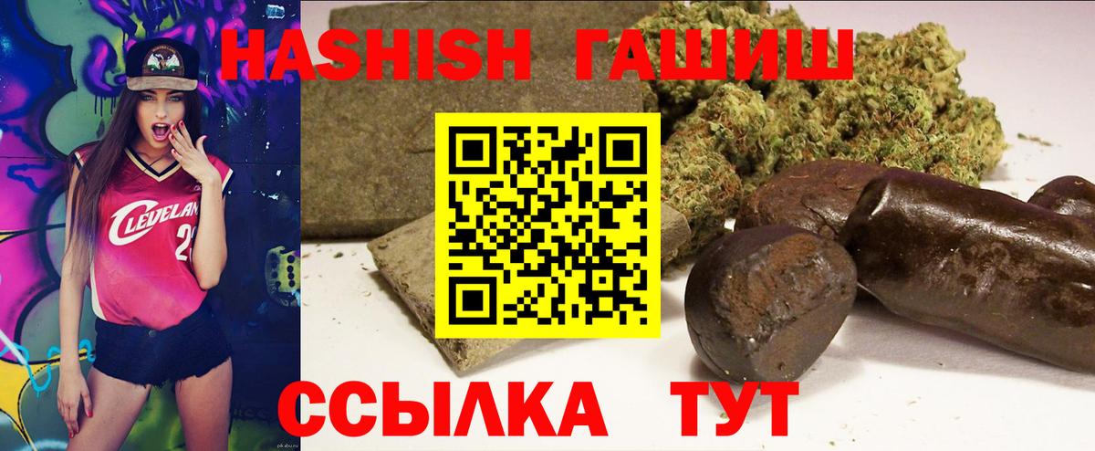 ГАШ Premium Тавда