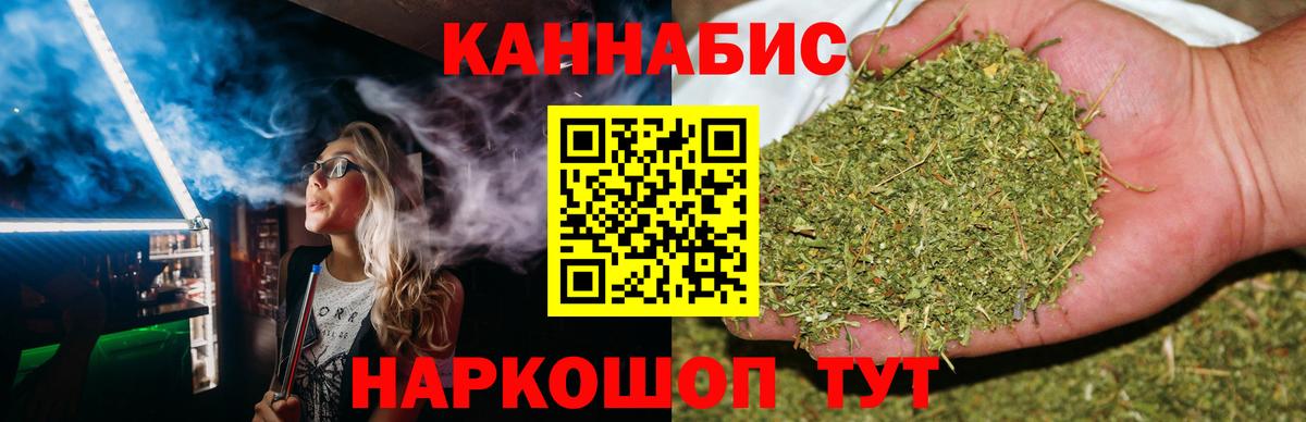 Каннабис тримм  Канабис планчик  Вход с VPN  Конопля сатива  Бошки марихуана семена  Тавда 